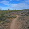 Gravel singletrack north of Emery Henderson