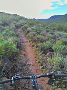 Steeper terrain with some bedrock