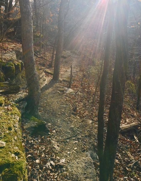 Some of the tech on Hobo Holler