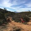 Top of Hollenbeck Canyon singletrack where it hits the doubletrack.