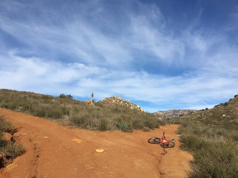 Stay to the right for Hollenbeck Canyon singletrack!  (Go up and left for the Fire Road.)