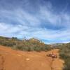 Stay to the right for Hollenbeck Canyon singletrack!  (Go up and left for the Fire Road.)