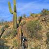 Vertically-bedded rock provides a bike rack.