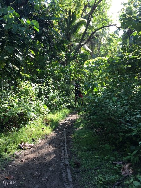 Singletrack trail on muddy condition at Devil's Trail.