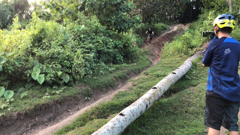 Devil's Trail steep for daredevils. Here's another angle shot of this track showing the ruts and fallen tree.  There's a jump afterwards for the brave. :)