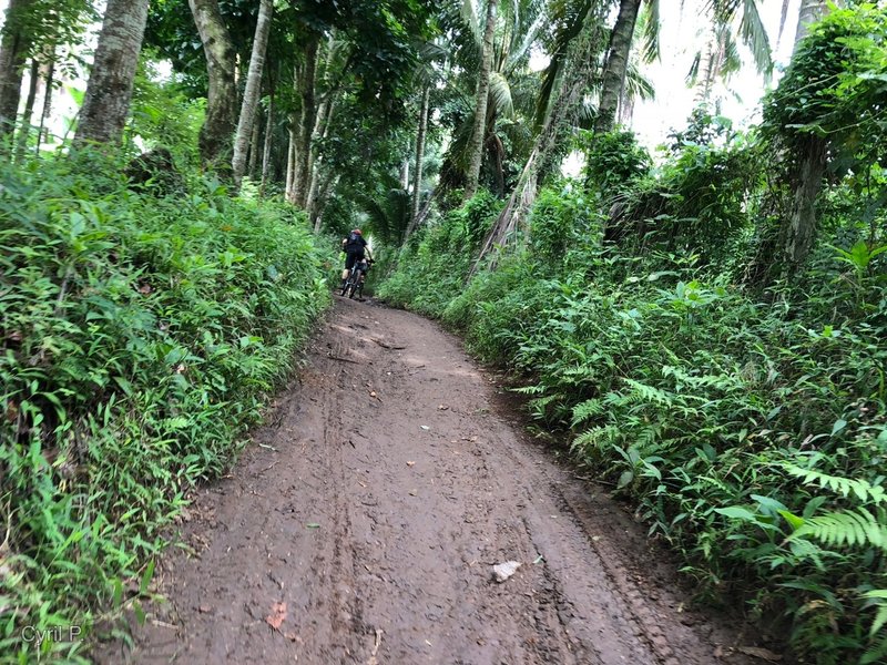 A supposedly easy climb but muddy and slippery when wet.