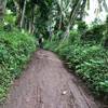 A supposedly easy climb but muddy and slippery when wet.