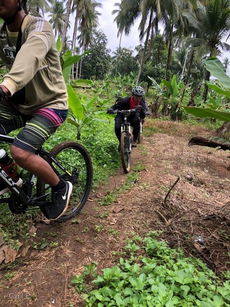 One of the many single-tracks at RP Trail.