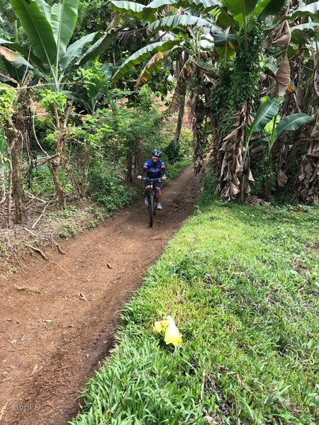 Wider track for beginner trail-riders at RP Trail.