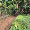 Wider track for beginner trail-riders at RP Trail.