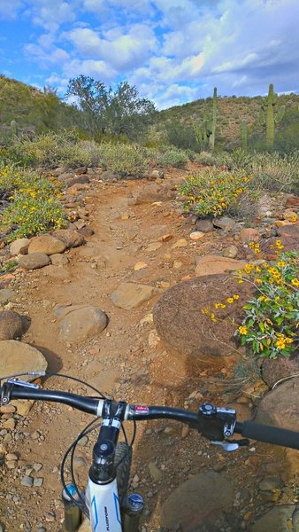 Looking towards Black Canyon City