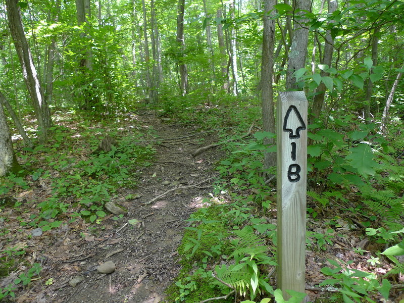 Almost to High Knob