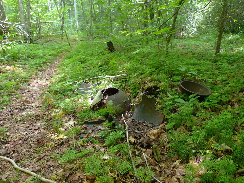 Old Stove along the Chief Benges Scout Trail