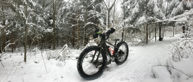 Winter ridin'