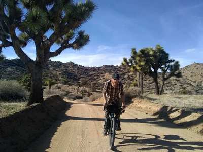 Joshua tree sale 55 bike ride