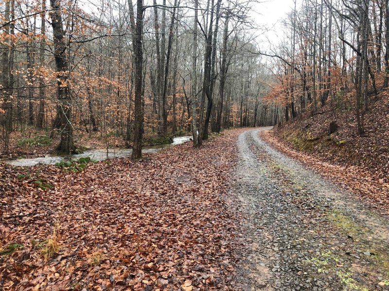 Unusually high water in Guthrie Creek along Pine Log Gap Road (December 2018)