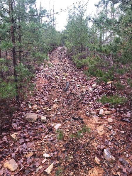 Rocky, rooty and steep.