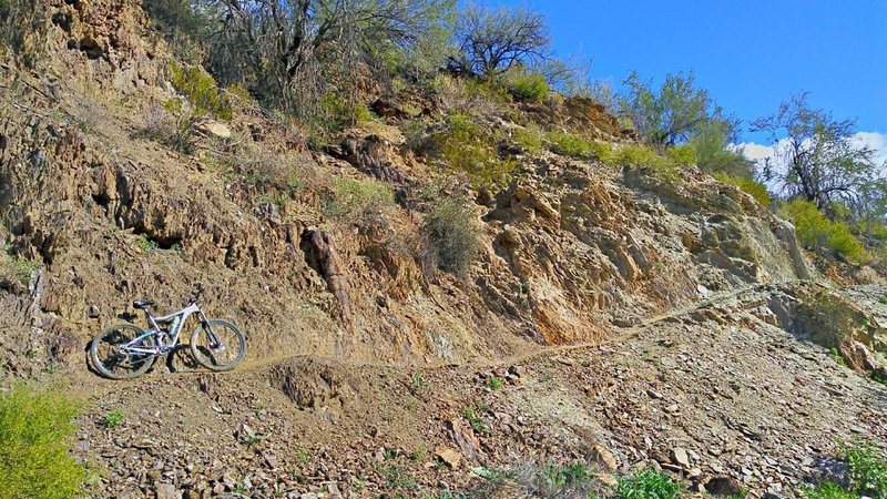 Narrow trail goes up bank