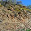 Narrow trail goes up bank