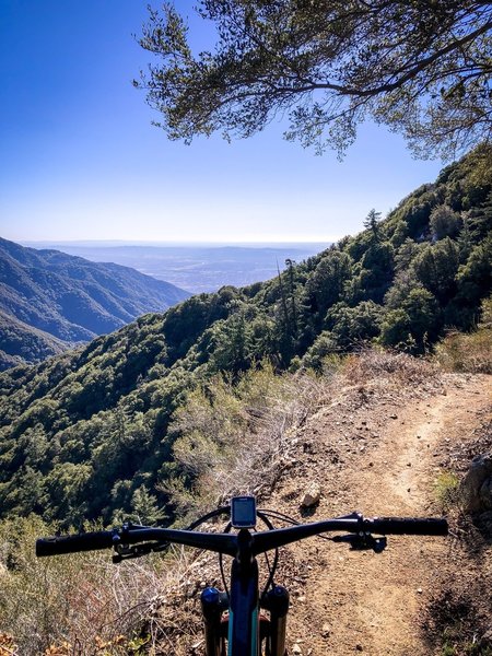 Gabrielino Trail above Chantry Flats