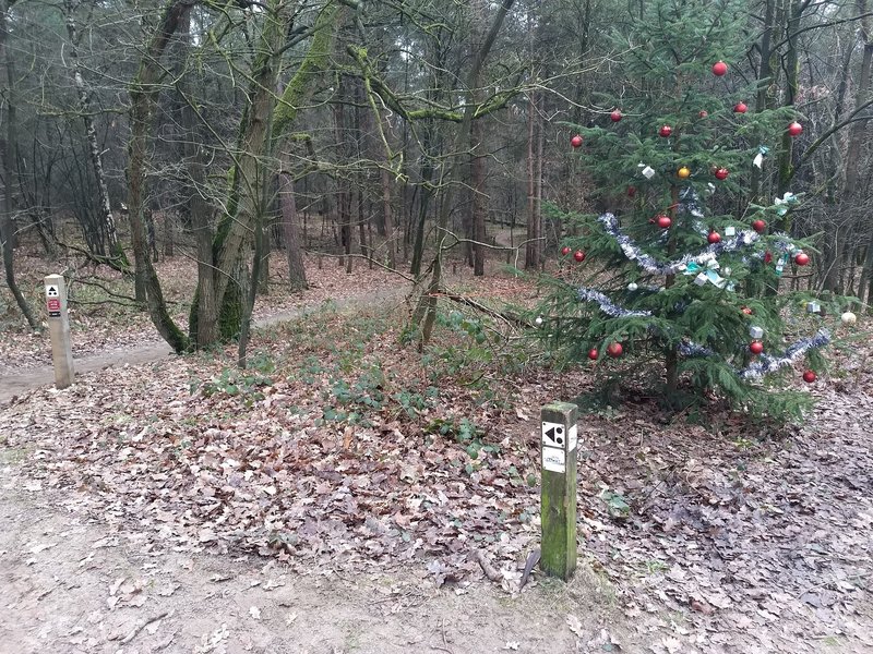 Starting point of the Drost trail. Picture taken in the christmas holiday (obviously)