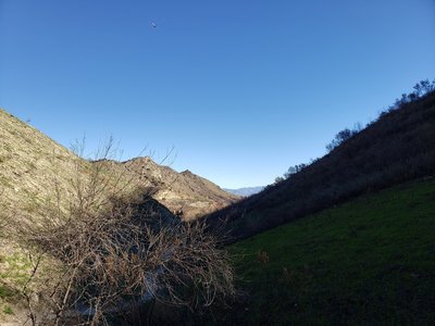 Beautiful green mountain views.