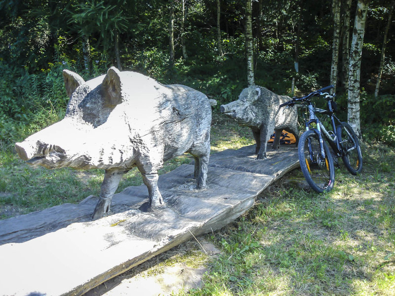 Local wildlife near the Fee Schlapper Hütte (Rest Hut) at Binsenwasen.