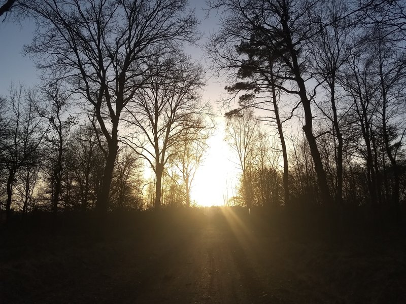Sunset in the winter. The trail runs straight towards the sun and then turns right.