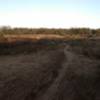 The Groote Heide trail runs through the moorland. The picture was taken in the winter, close to sunset.