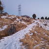 Cottonwood canyon in the snow!