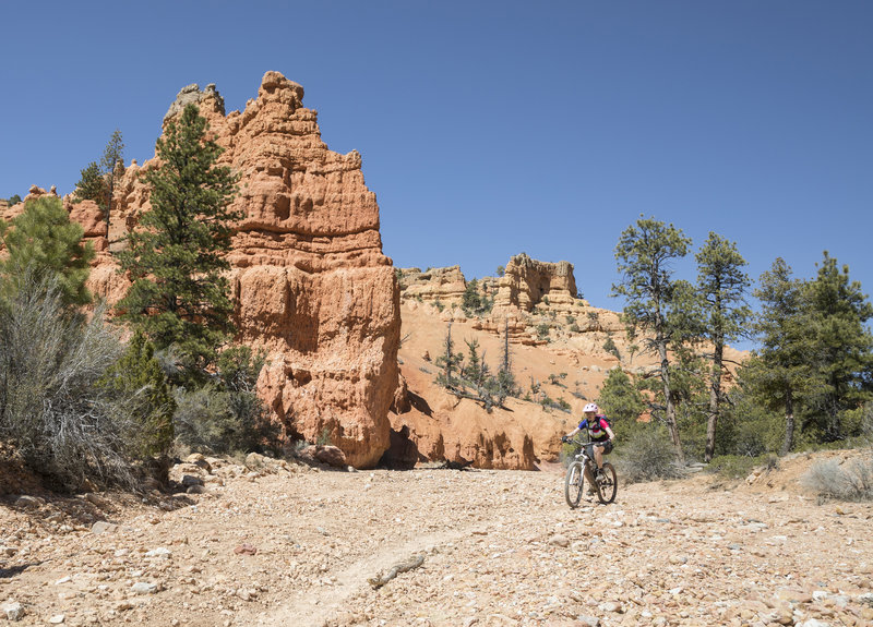 On flowy downhill at Losee Canyon.