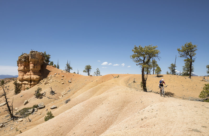 Desert Biking on Rich Trail.