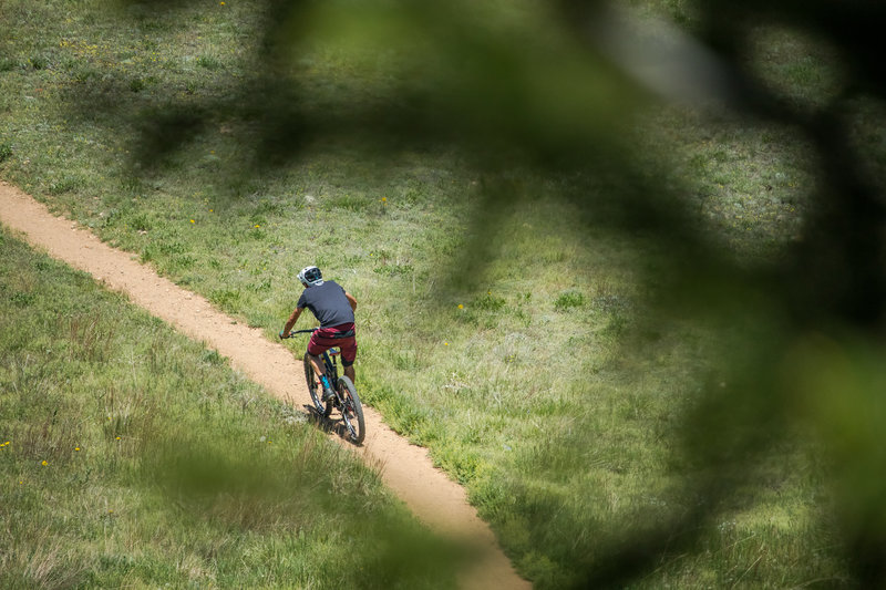 Looking through the trees at the singletrack down below