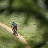 Looking through the trees at the singletrack down below