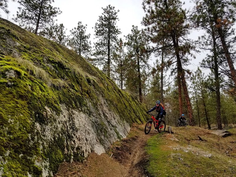 The wall ride on Lower Old School