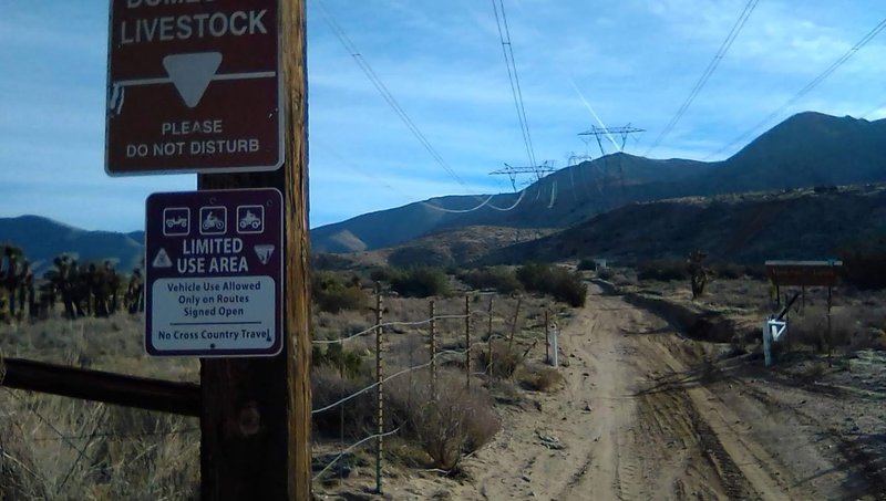 The beginning of Pack Memorial MTB fire road/ trail