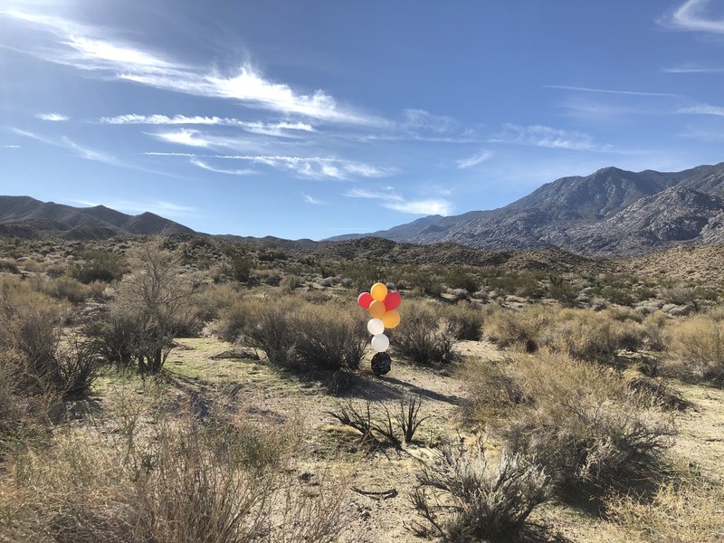 Don’t let your kids birthday balloons ruin the desert!