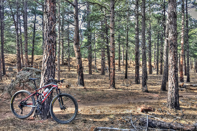 Highest point of the trail.