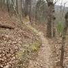 Looking back on the reverse descent of Buck cutoff headed towards the parking area off of Trout Run