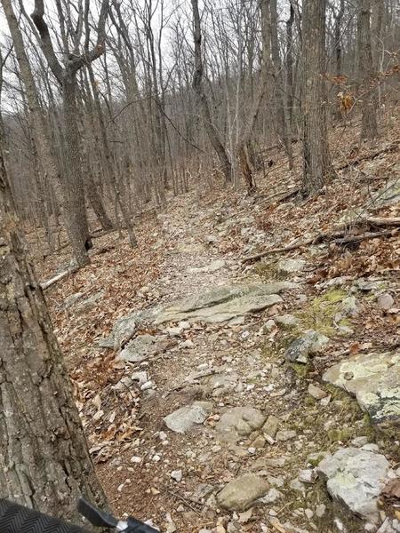 More rock garden singletrack on Buck Cutoff descent.