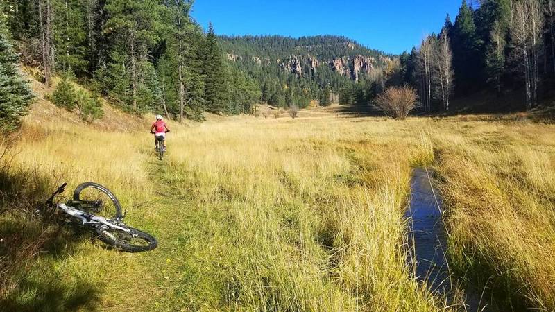 Bottom of Cebolla Creek - go left heading upstream for the singletrack.