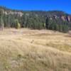 Bottom of Cebolla Creek - go left heading upstream for the singletrack.