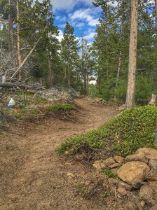 Flowy section of Upper Brewer's Trail.