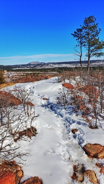 Ridge Trail.