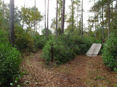 Nocatee Preserve_Roller Coaster Feature w/alt.