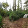 Nocatee Preserve_Roller Coaster Feature w/alt.