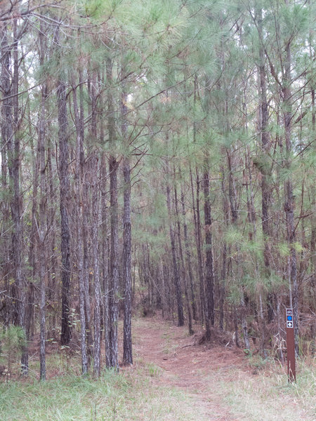 Nocatee Preserve East Side Entrance