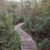 Nocatee Preserve Boardwalk