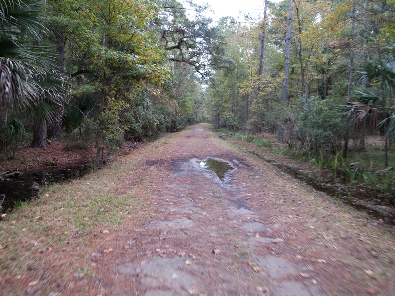 Nocatee Preserve Access Road