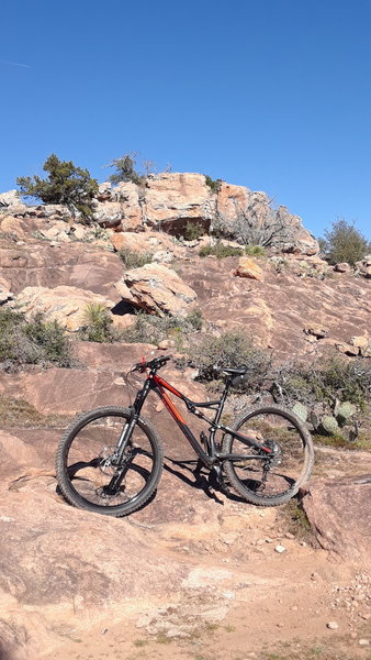 Along the Reveillie Peak Loop. All this rock is billion year old Gneiss from the Llano uplift.